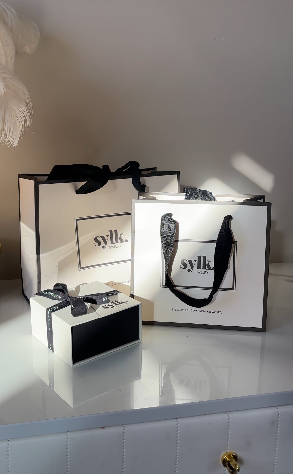 Gift Bag with Ribbon